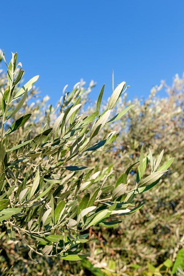 Hera Kyrenia Bb Kazaphani Dış mekan fotoğraf